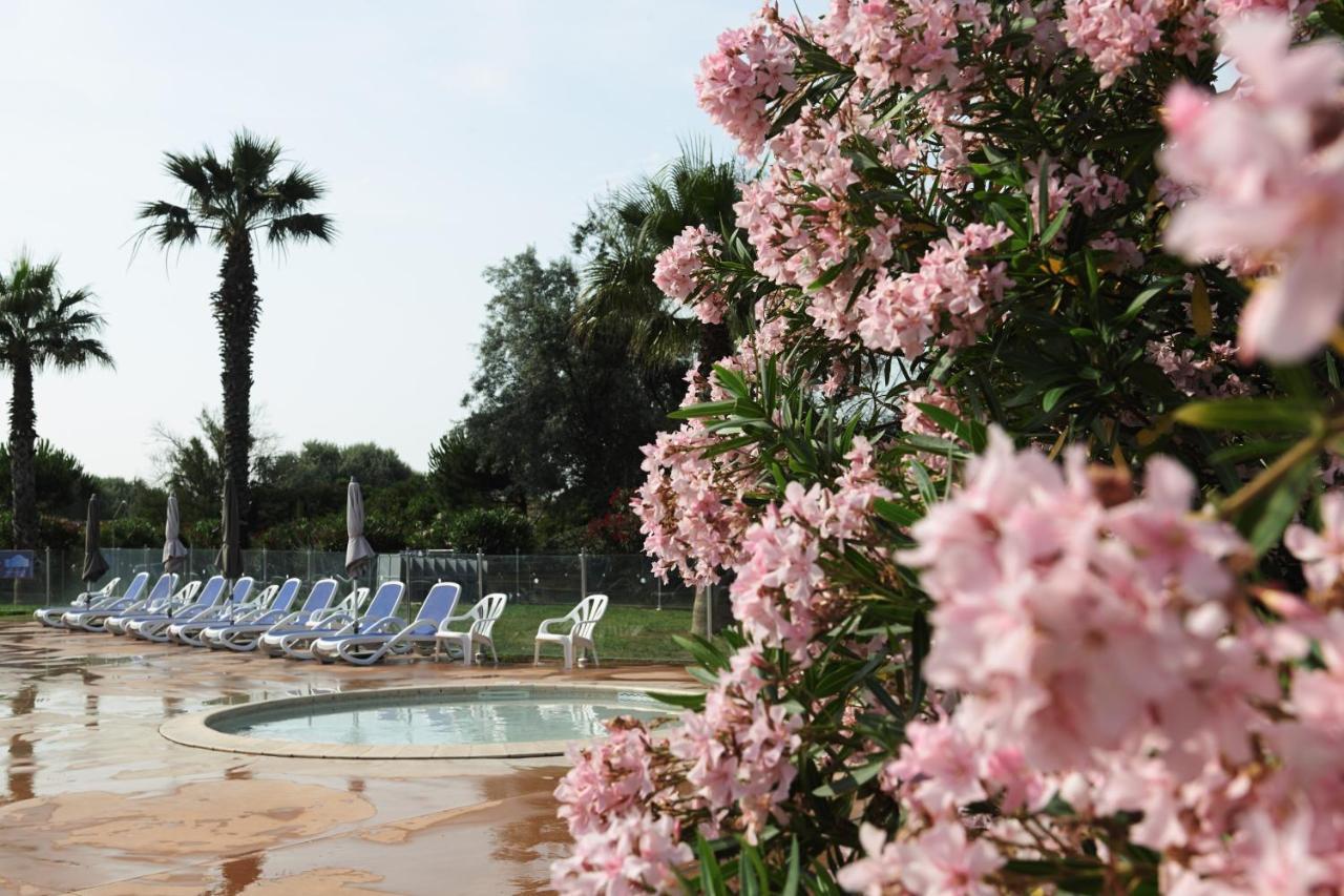 Belambra Clubs Residence Le Grau Du Roi - Le Vidourle Арль Экстерьер фото